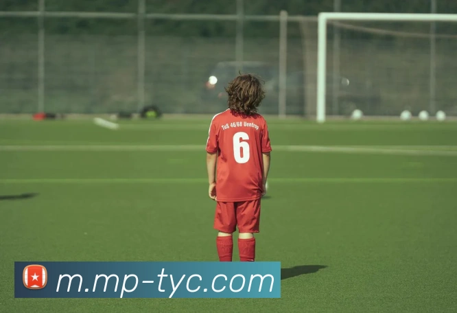 太阳城网站发展历程